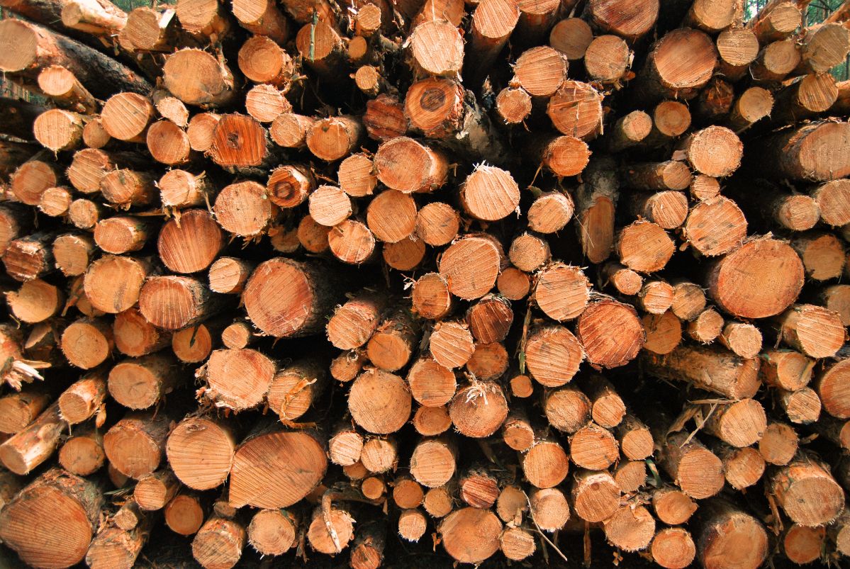 Der mit Abstand wichtigste Bioenergieträger in Deutschland ist das Holz. (Quelle: © Peter Fenge / pixelio.de)