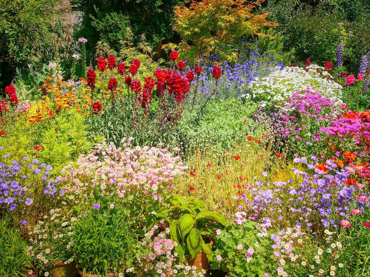 Insekten brauchen mehr naturnahe Gärten. (Bildquelle: © Albrecht Fietz / Pixabay)