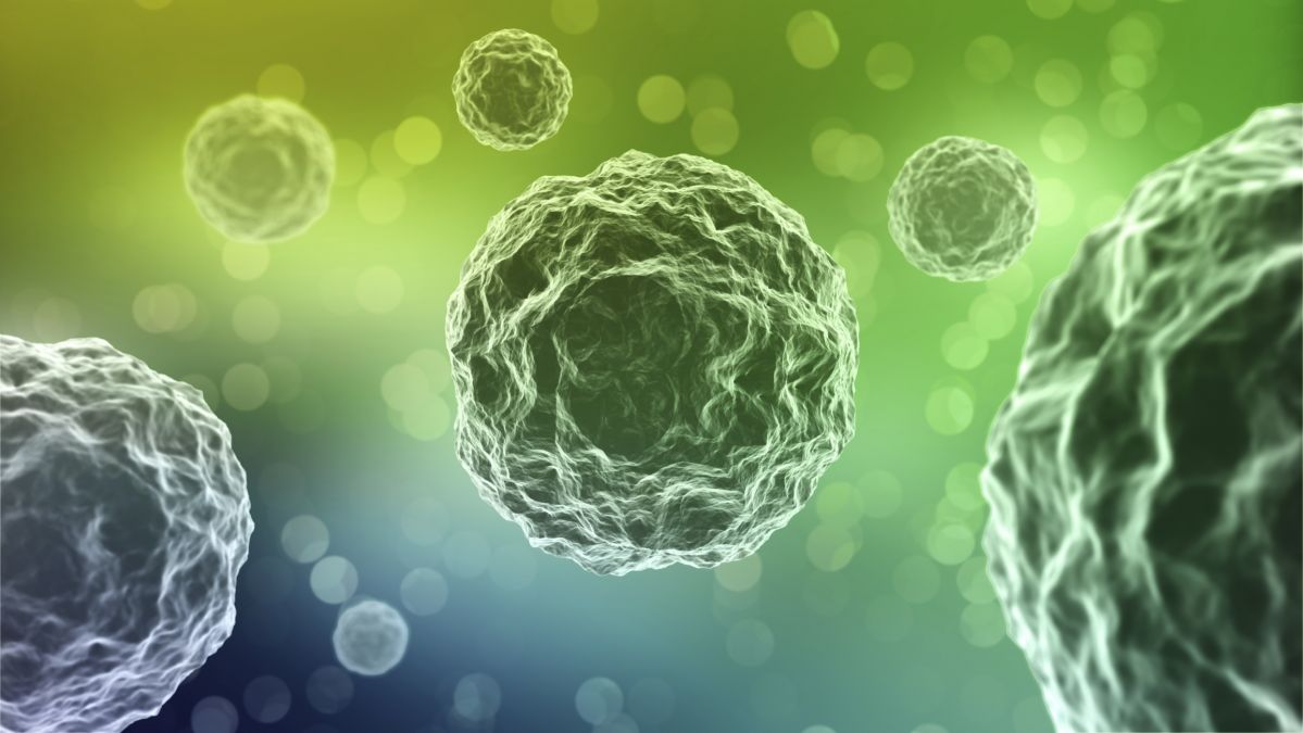 Viren sind wahre Überlebenskünstler. Forschen ist es kürzlich gelungen, einen 700 Jahre alten Pflanzenvirus zu reaktivieren. (Bildquelle: © iStock.com/ iStackphotons)