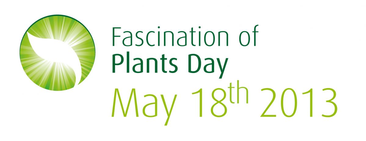 Der zweite Internationale Tag der Pflanze wird von der European Plant Science Organisation (EPSO) koordiniert.
