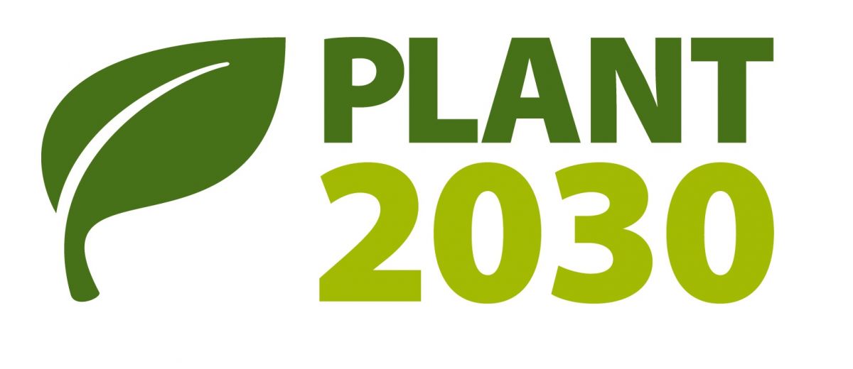 PLANT 2030 vereint die vom BMBF geförderten Forschungsaktivitäten im Bereich der angewandten Pflanzenforschung. 
Mehr Informationen...