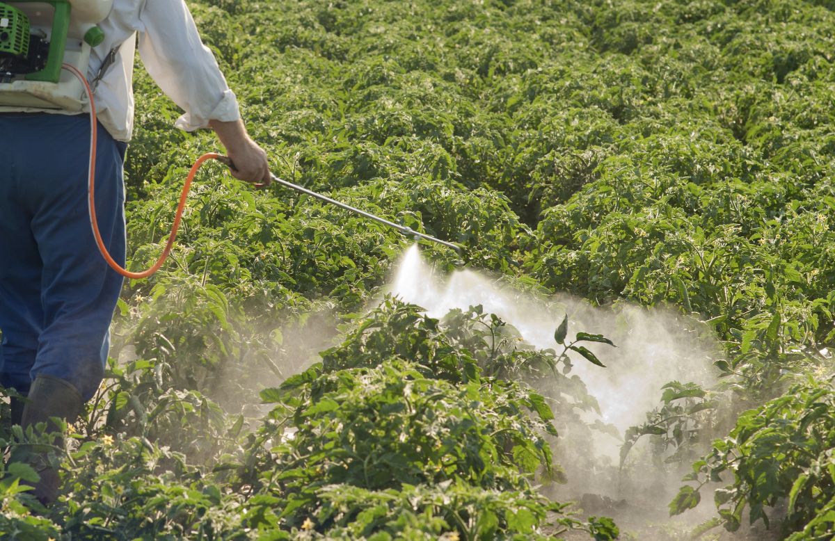 Chemische Mittel werden eingesetzt, um unsere Nutzpflanzen vor schädlichen Tieren, Pilzen oder Pflanzen zu schützen. Doch ihr Einsatz hat auch Kehrseiten. (Bildquelle: © iStock.com/fotokostic)