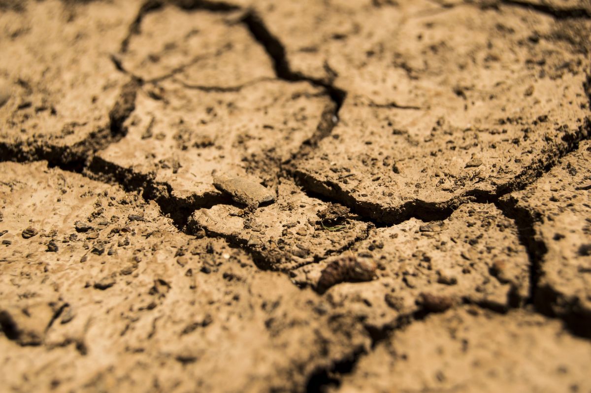 Der Klimawandel beeinträchtigt die Gesundheit landwirtschaftlich genutzter Böden. (Bildquelle: © Luis Iranzo Navarro-Olivares/Pixabay/CC0)