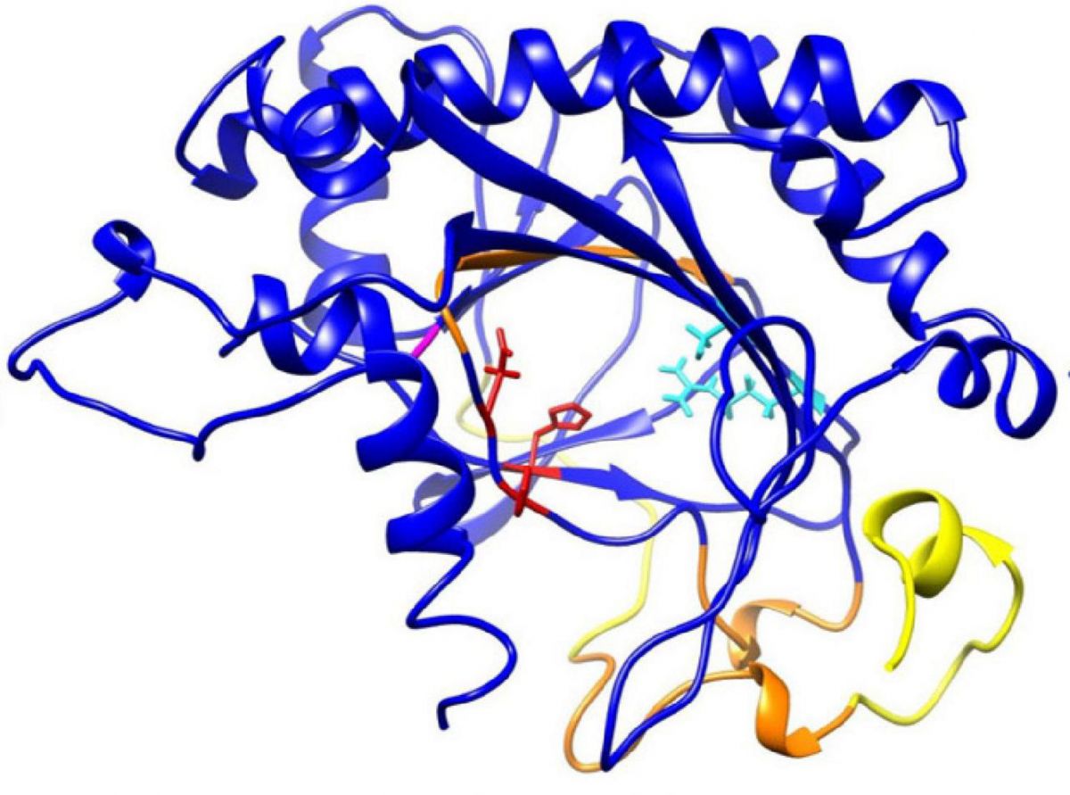 Das Forschungsteam konnte zwei Enzyme identifizieren, die die Produktion des Bitterstoffs K3OSS essenziell sind. Hier gezeigt ist die Struktur der Flavonol Synthase 1-1.
