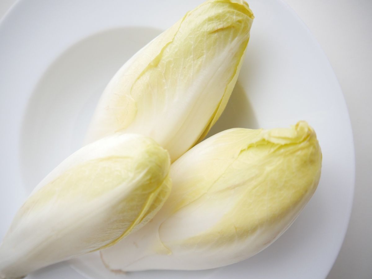 Pflanzliche Nahrungmittel wie Chicorée enthalten Präbiotika wie Inulin. Sie könnten über das Darmmikrobiom auf die Appetitregulation einwirken. (Bildquelle: © Griet Kurtz / Pixabay, Pixabay License)