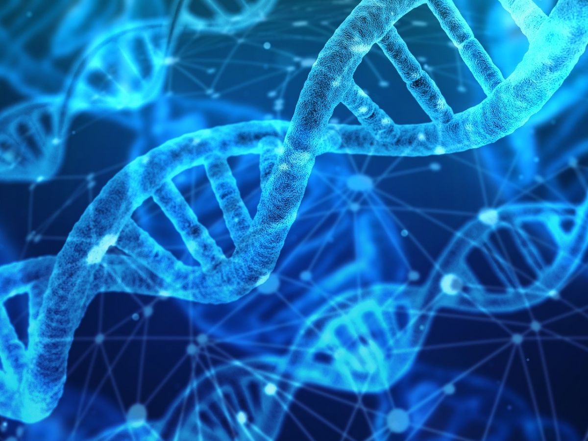 Genom-Editierungen ermöglichen Veränderungen an der DNA, die in der Regel nicht von natürlichen Mutationen zu unterscheiden sind. (Bildquelle: © Gerd Altmann / Pixabay)