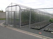 In einem speziellen Sicherheitszelt wachsen gentechnisch veränderte Apfelpflanzen unter freilandähnlichen Bedingungen.
