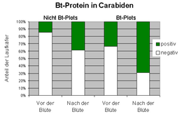 Bt-Protein in Laufkäfern