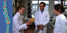 Video: PCR-Methode in der Lebensmittelüberwachung