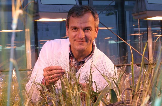 Der Sprecher des International Barley Sequencing Consortium: Dr. Nils Stein, IPK Gatersleben (Quelle: © Roland Schnee | www.ipk-gatersleben.de).