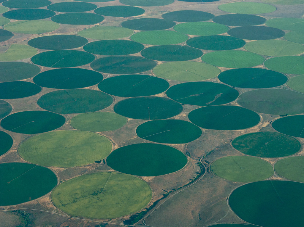 Diese eher ungewohnt aussehenden, kreisförmigen Felder, finden sich in trockenen Gegenden der USA. Hier wird mit künstlicher Bewässerung intensive Landwirtschaft betrieben.