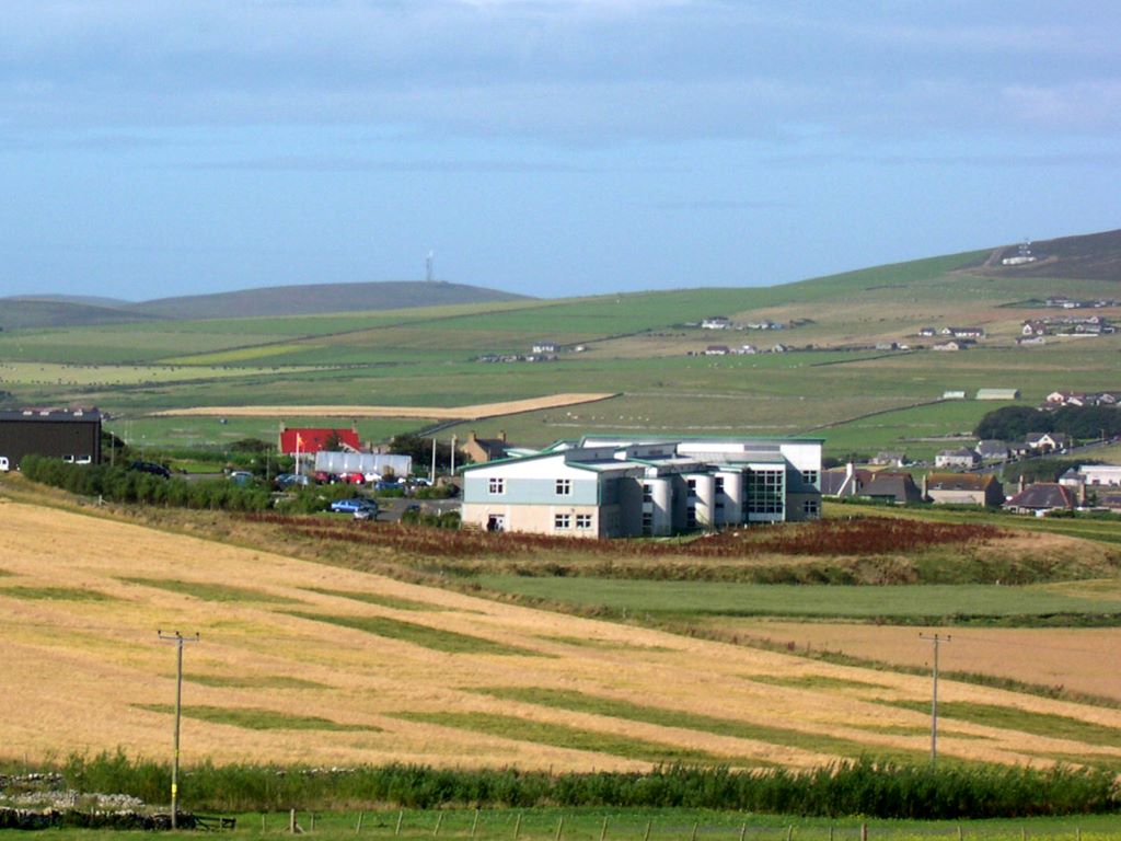Die Bere-Gerste auf den Orkney-Inseln ist schon reif, wenn Elitesorten noch grün sind. 
