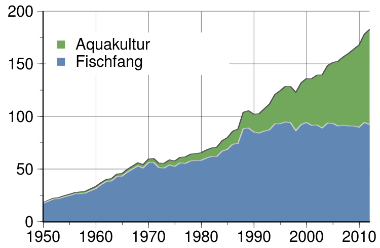 Die Grafik zeigt, wie stark die Fischfangmenge seit 1950 gestiegen ist. Deutlich wird, dass ein Großteil aus Aquakulturen stammt.