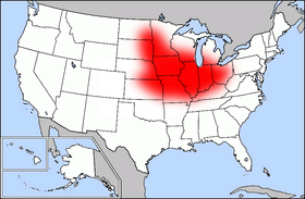 Der sogenannte „Corn Belt“ ist die größte Maisanbauregion der USA. Sie erstreckt sich über 12 US-Bundesstaaten, bzw. Teile davon.