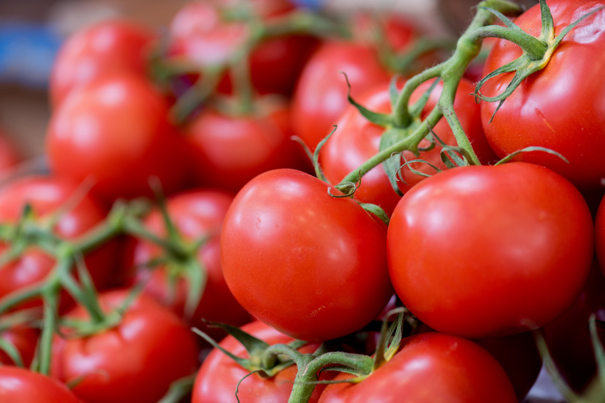 Die Menschen züchten schon lange Tomaten. Dabei sind ganz unbeabsichtigt auch viele Geschmacksmoleküle verloren gegangen. (Bildquelle: © auremar / Fotolia.com)