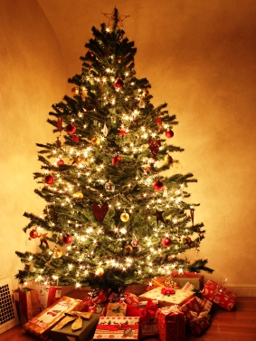 Seit dem 19. Jahrhundert ist der Weihnachtsbaum in ganz Deutschland fester Bestandteil des Festes.