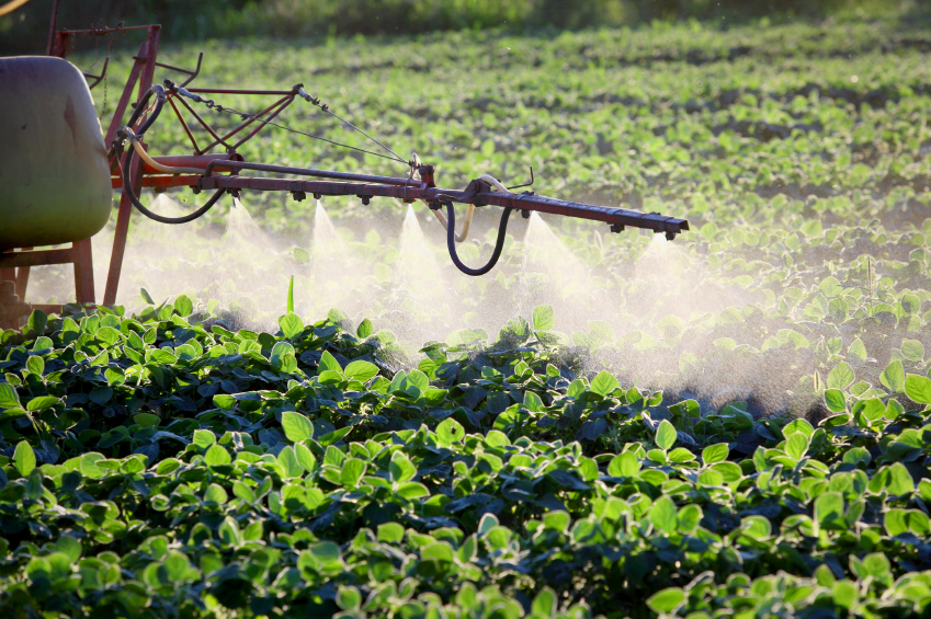 Trotz des hohen Anteils gentechnisch veränderter Pflanzen in den USA und Kanada verbrauchen Landwirte dort mehr Pestizide als Bauern in Westeuropa.