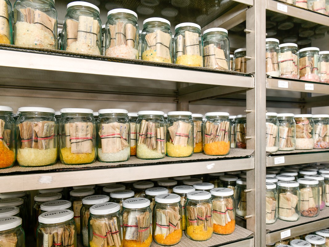 Die bundeszentrale Ex-situ-Genbank am Leibniz-Institut für Pflanzengenetik und Kulturpflanzenforschung (IPK) in Gatersleben zählt zu den weltweit größten Sammlungen.
