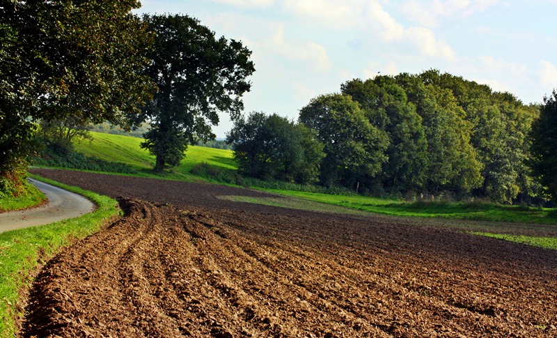Die heutige Landschaft in Europa ist landwirtschaftlich geprägt.