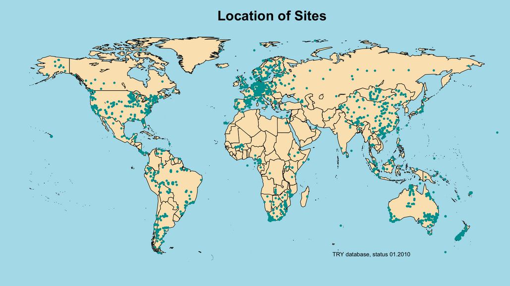 Über die Datenbank kann die globale Verbreitung von Pflanzen(merkmalen) nachverfolgt werden.