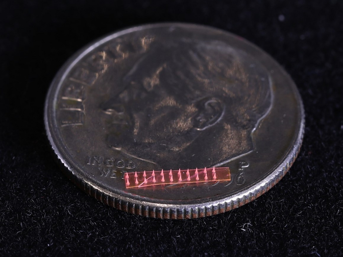 Die verwendeten Mikronadeln aus Seide auf einer Münze.
