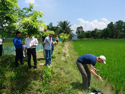 Der Doktorand Kristian Johnson misst die elektrische Leitfähigkeit in einem Reisfeld bei einer gemeinsamen deutsch-vietnamesischen Exkursion.
