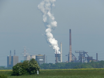 Die Verbrennung fossiler Rohstoffe erhöht die Luftverschmutzung und die Ozonbelastung. Darunter leiden nicht nur Menschen, sondern auch Pflanzen. 