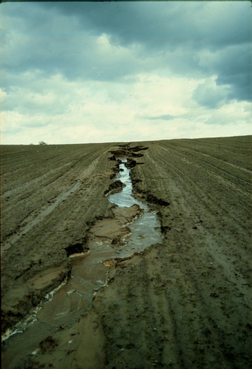 Auch in Deutschland ist Erosion ein Problem. Durch Regengüsse können tiefe Bodenrillen entstehen. (Quelle: © Müncheberg / ZALF)