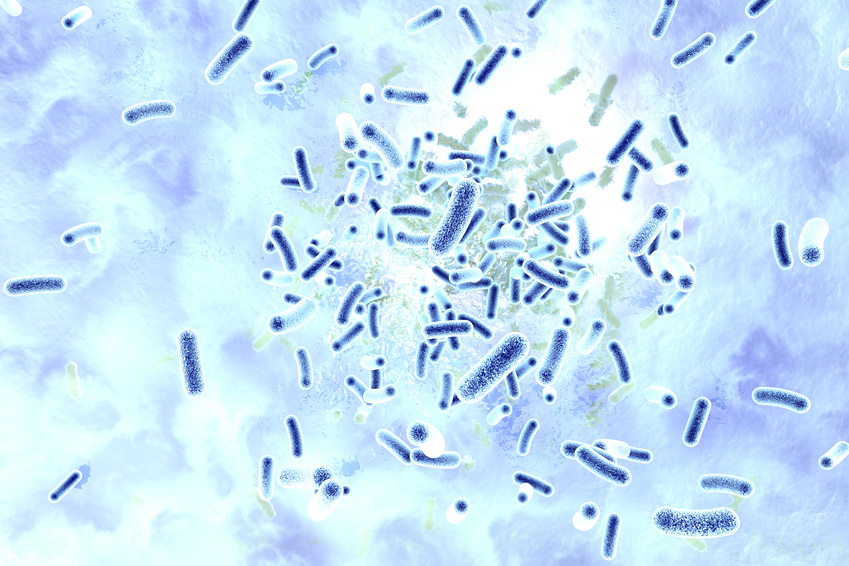 Bakterien wie Pseudomonas syringae starten ihre Infektionsmaschinerie, wenn sie in unmittelbarer Nähe einer Pflanze sind. Wie sie das bemerken, haben Wissenschaftler nun herausgefunden. (Bildquelle: © rgpilch - Fotolia.com)