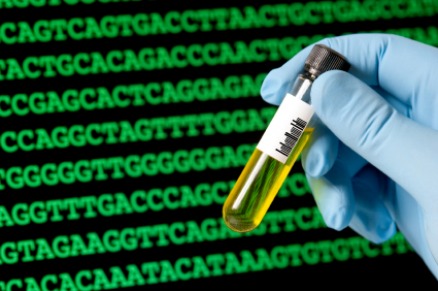 Genomanalysen sind hochkomplizierte Verfahren (Quelle: © iStockphoto.com/dra_schwartz).