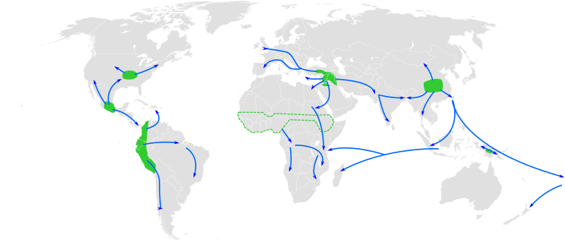 Die Weltkarte zeigt die ungefähren Zentren der Landwirtschaft und ihre Ausbreitung: Fruchtbarer Halbmond (9.000 v. Chr.), China (7.000 v. Chr.), Neuguinea (7.000–6.000 v. Chr.), Mexiko (3.000–2.000 v. Chr.), Südamerika (3.000–2.000 v. Chr.), Subsahara Afrika (3.000–2.000 v. Chr, das genaue Gebiet ist unbekannt), Nordamerika (2.000–1.000 v. Chr.).