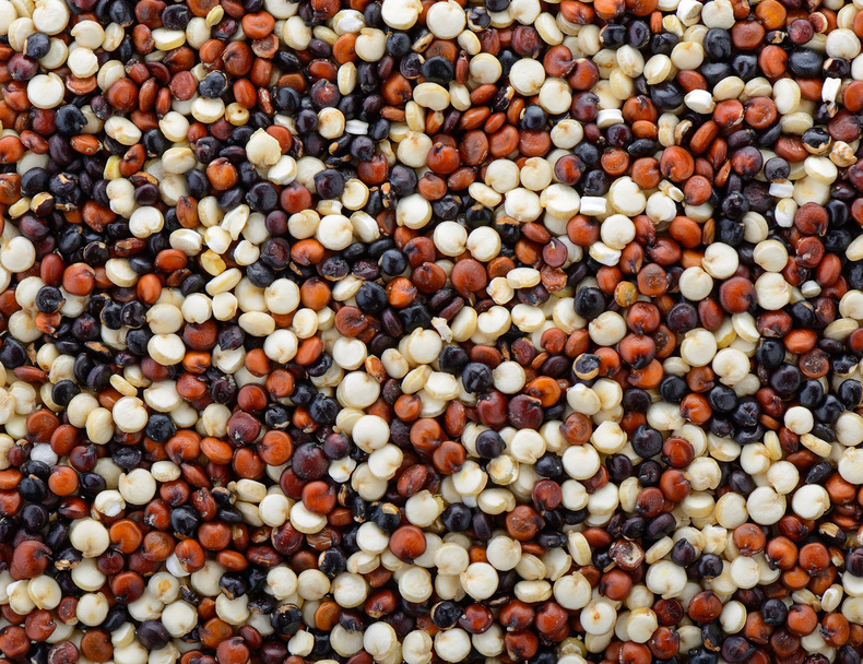Inzwischen führt fast jeder Supermarkt das Pseudogetreide Qunioa im Sortiment. Die Farbe der senfkorngroßen Samen unterscheidet sich je nach Anbaugebiet, Art und Sorte, hierzulande sind vor allem weiße, rote und schwarze Samen erhältlich.