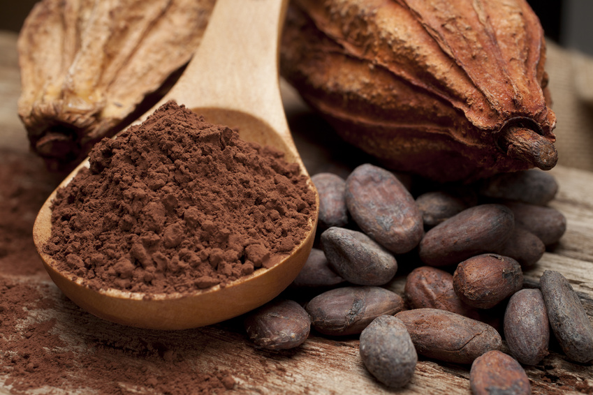 Die aktiven Wirksubstanzen wurden gezielt aus Kakaobohnen extrahiert. Leider ist ihr Effekt mit handelsüblicher Schokolade so nicht zu erzielen. (Bildquelle: © hiphoto39 - Fotolia.com)