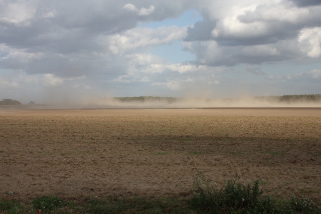 Sandsturm auf einem Acker. Gepflügte Felder sind besonders anfällig für Erosion durch Wind und Wasser.