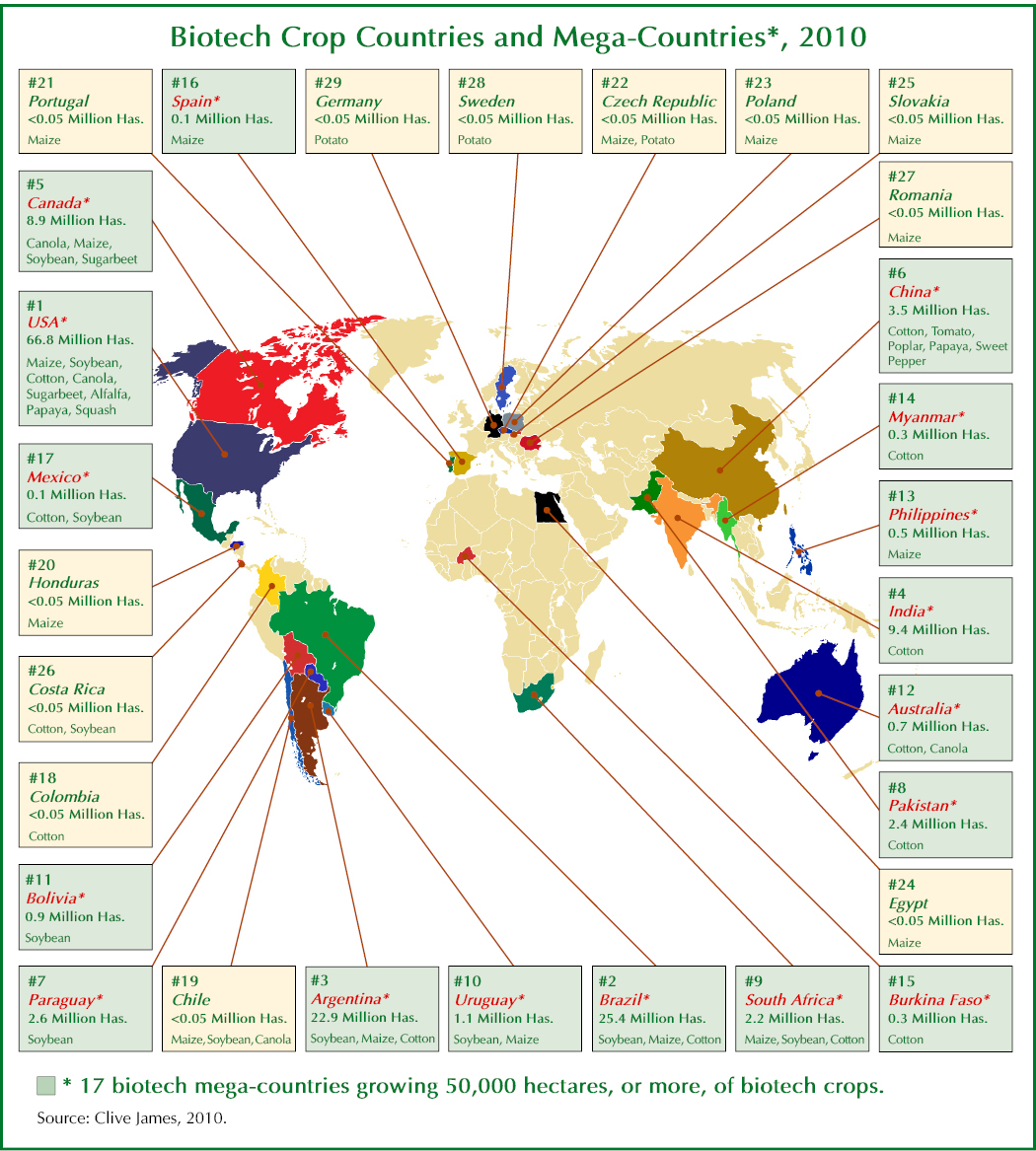 Weltkarte der gv-anbauenden Nationen (Quelle: ISAAA)