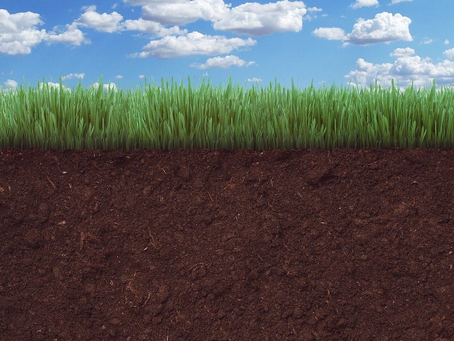 Je wärmer es wird, desto weniger organische Substanzen werden in den Böden gespeichert. (Bildquelle: © Alexandra_Koch / Pixabay)