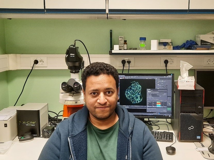 Mehr als die Hälfte seiner Promotion verbrachte Mohammad Ayoub am Fluoreszenzmikroskop, um markierte Proteine in Keimbahnzellen der Gerste zu visualisieren.
