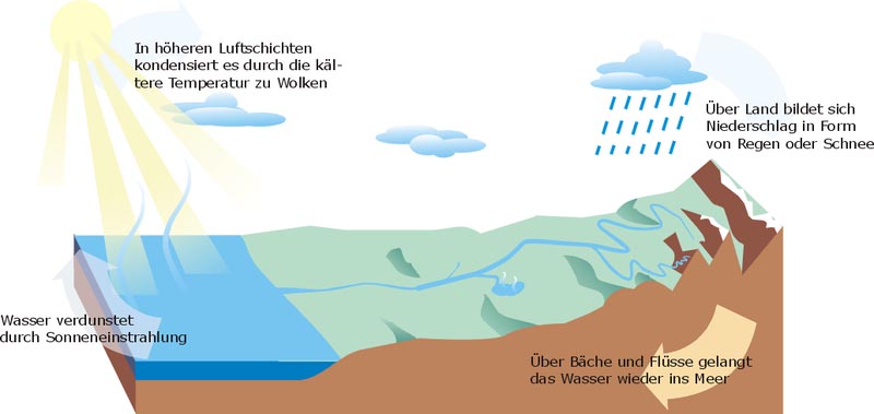 Kreislauf des Wassers zwischen Niederschlag und Verdunstung.