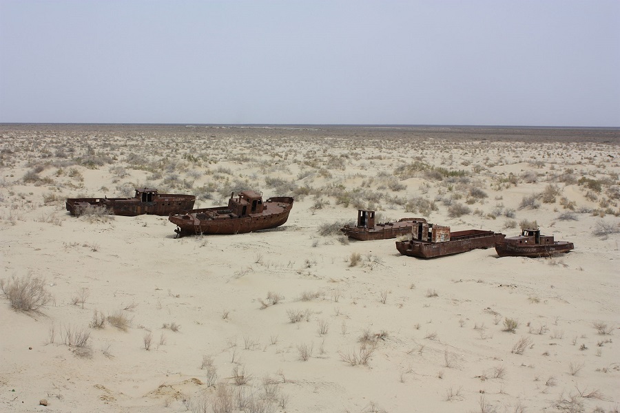 In extrem von Versalzung betroffenen Gebieten, wie der Region rund um Aralsee können die Ertragseinbußen bis zu 86 Prozent betragen. (Bildquelle: © Arian Zwegers / wikimedia.org / CC BY-2.0)