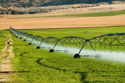 Künstliche Bewässerungssysteme werden für die Landwirtschaft in Zukunft noch wichtiger werden. 