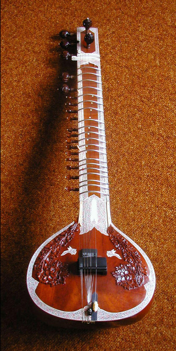 Aus den Früchten der Flaschenkürbisse werden Gefäße hergestellt, sogenannte Kalebassen. Aber auch Musikinstrumente wie die Sitar, eine indische Langhalslaute, werden daraus gebaut.