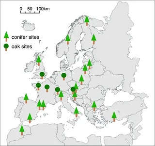 Über ganz Europa sind die Standorte verteilt, an denen Baumproben für die Isotopenanalyse genommen wurden.

