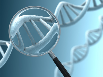 DNA-Sequen-zierungsmethoden: Neue Substanz „F-ara-EdU“ ermöglicht, entstehende DNA im lebenden Organismus zu markieren (Quelle: © iStockphoto.com/Mark Evans) 