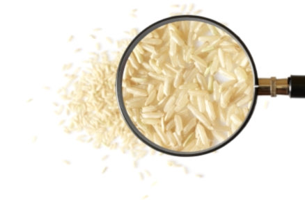 Reis ist diploid. Aber viele bekannte Kulturpflanzen sind polyploid, das heiβt der Chromosomensatz liegt mehr als doppelt (2n = diploid) vor. 