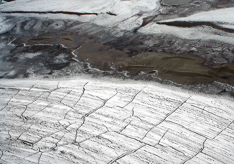 Permafrostböden lagern nicht nur Kohlenstoffdioxid, sondern auch prähistorische Pflanzen und Tiere. 
