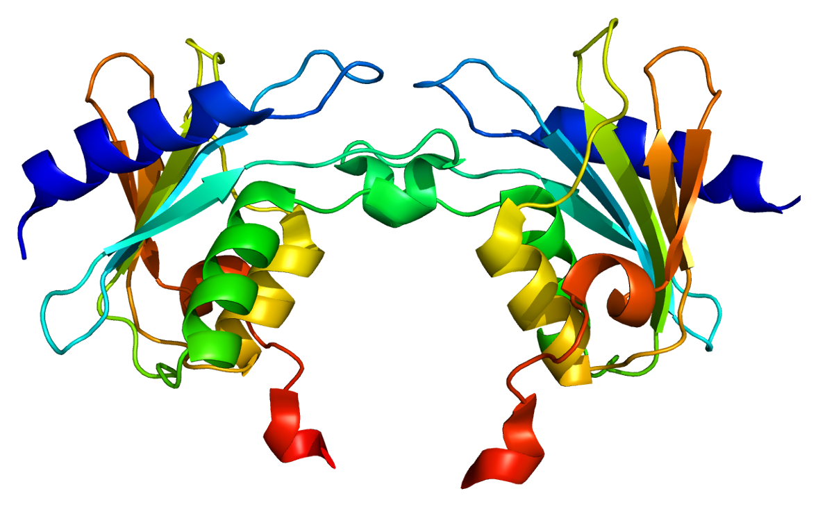 Struktur eines ein Cytidin-Deaminase-Enzyms.