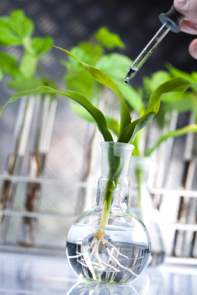 Die Forschung zu Nano-Pestizide ist wichtig für Nahrungsmittelsicherheit und Umweltschutz  (Quelle: © iStockphoto.com/Sebastian Duda)