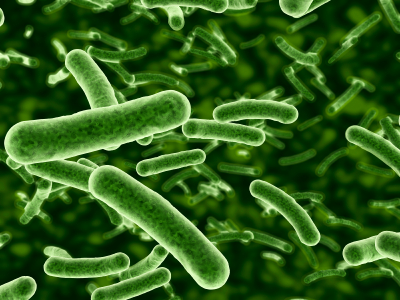 Neuer E.coli-Stamm für Biokraftstoffe (Quelle: © iStockphoto.com/Raycat)