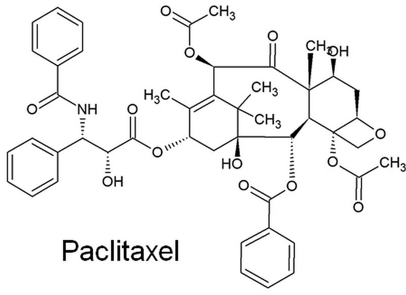 Paclitaxel hat eine komplexe chemische Struktur, die ohne die Hilfe von Enzymen nur sehr schwierig reproduziert werden kann.

