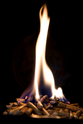 Brennende Holzpellets. (Quelle: © iStockphoto.com/Dimitri Zimmer)